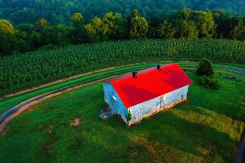 Aerial view of a rustic blue house with a red roof, surrounded by green fields and trees.