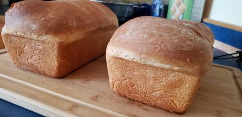 Two freshly baked loaves of bread on a wooden cutting board, with a golden-brown crust.