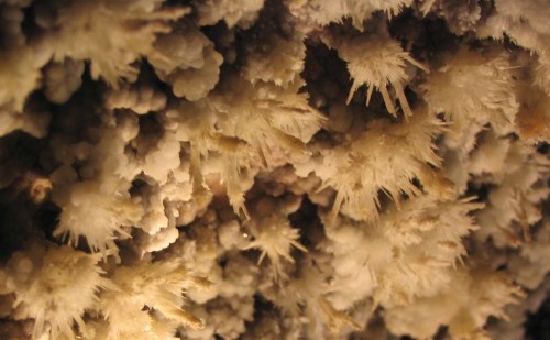 Close-up of crystalline formations resembling white spikes, set against a dark background.