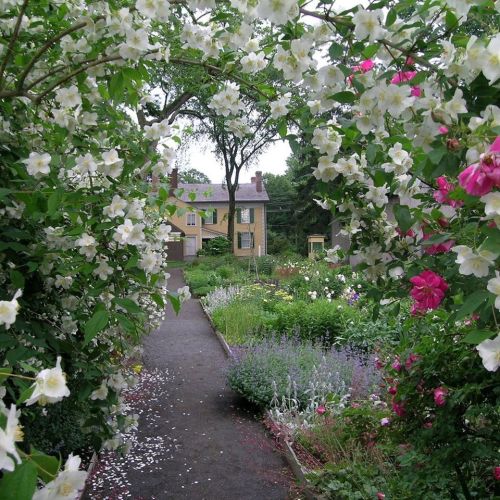 A lush garden path lined with blooming flowers, leading to a charming yellow house in the background.