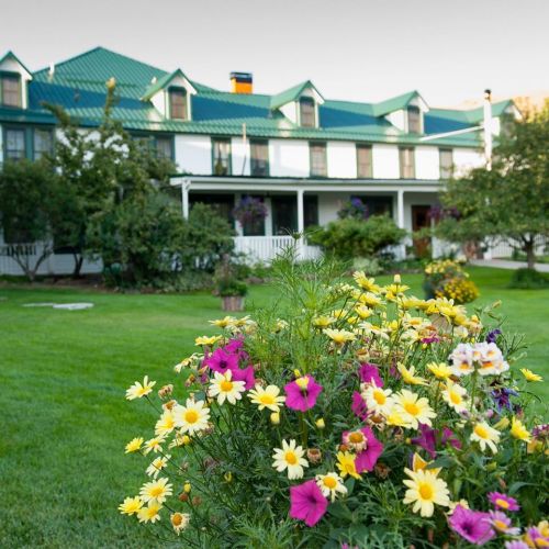 A vibrant flower garden in the foreground with a charming green-roofed building in the background.