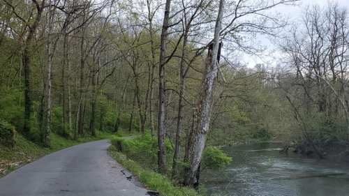 A winding road alongside a river, surrounded by lush green trees and a serene natural landscape.