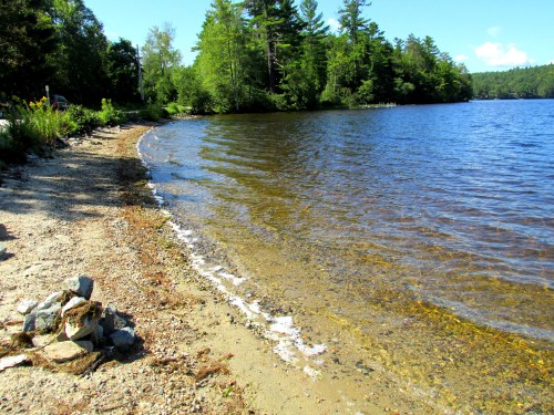 A serene lakeside view with a sandy shore, gentle waves, and lush green trees under a clear blue sky.