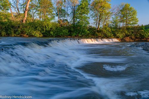 A serene river scene with gentle flowing water and lush green trees along the bank under a clear blue sky.