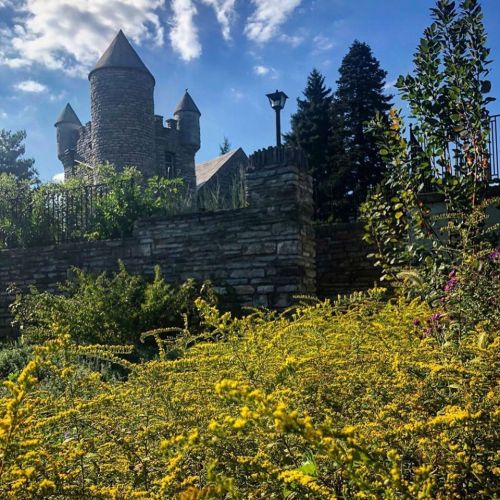 A stone castle with towers surrounded by vibrant yellow flowers and lush greenery under a blue sky.