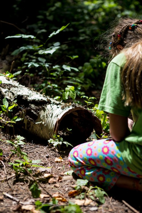 A child in a green shirt and colorful pants kneels by a fallen log in a lush, green forest.