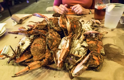 A large pile of seasoned crabs on a table, with a person’s hands visible in the background.