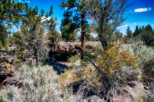 A rocky landscape with sparse vegetation, featuring trees and shrubs under a bright blue sky with scattered clouds.
