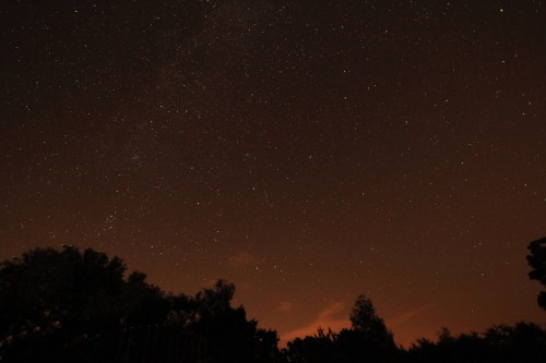A starry night sky filled with numerous stars against a dark backdrop, with silhouettes of trees at the bottom.