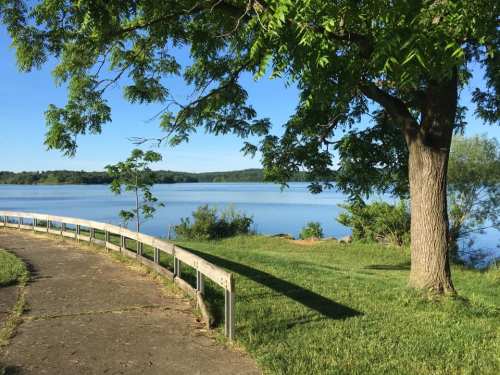 A serene lakeside view with a curved path, lush greenery, and a clear blue sky reflecting on the water.