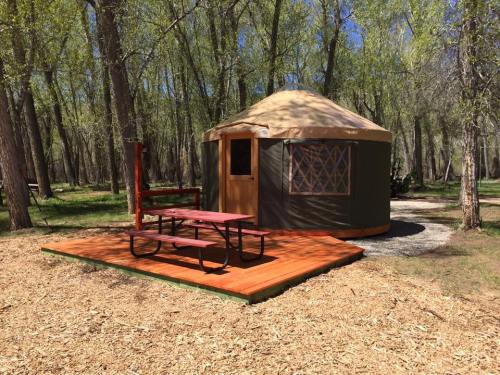 A cozy yurt with a wooden deck and picnic table, surrounded by trees in a sunny outdoor setting.