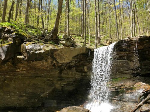 A serene waterfall cascades over rocky cliffs, surrounded by lush green trees in a peaceful forest setting.