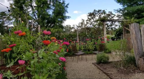 A vibrant garden path lined with colorful flowers, leading to two chairs under a blue sky.