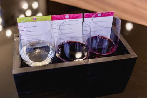 Three wine glasses in a wooden tray, each containing different wines, with tasting notes displayed beside them.