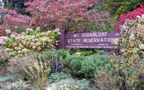 Sign for Mt. Sugarloaf State Reservation surrounded by colorful autumn foliage and blooming flowers.