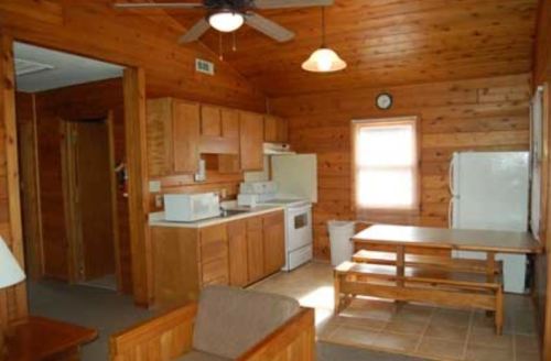 Cozy wooden cabin interior featuring a kitchen, dining table, and living area with natural light.