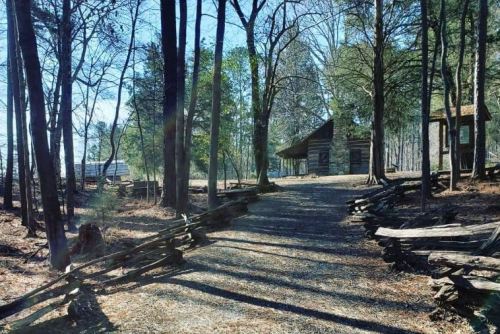 A gravel path winds through a wooded area, leading to rustic cabins surrounded by trees and sunlight.