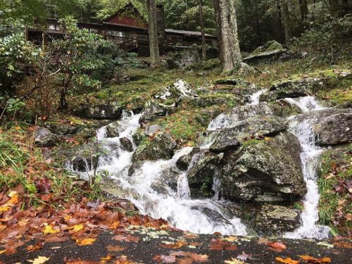 A serene stream flows over rocks, surrounded by autumn leaves and lush greenery, with a cabin visible in the background.