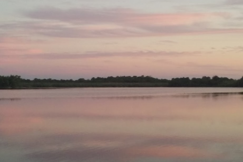 A serene lake at sunset, reflecting soft pink and purple hues in the sky and water, with a distant tree line.