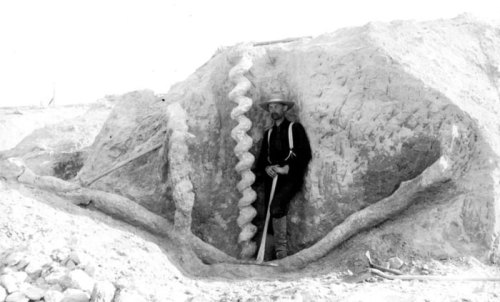 A man stands beside a large spiral drill in a dug-out area, surrounded by dirt and rock formations.