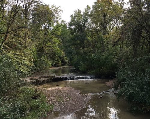 A serene creek flows through a lush green landscape, with a small waterfall and trees lining the banks.