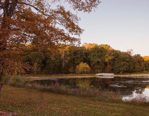 A serene lake surrounded by autumn foliage and trees, reflecting the colorful leaves in the calm water.