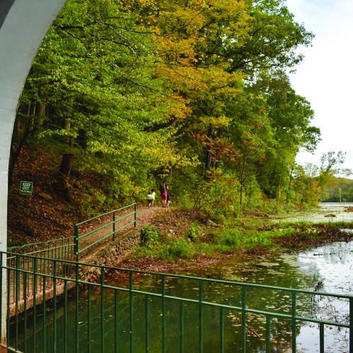 A serene landscape featuring a path by a pond, surrounded by lush green trees and a bridge arching overhead.