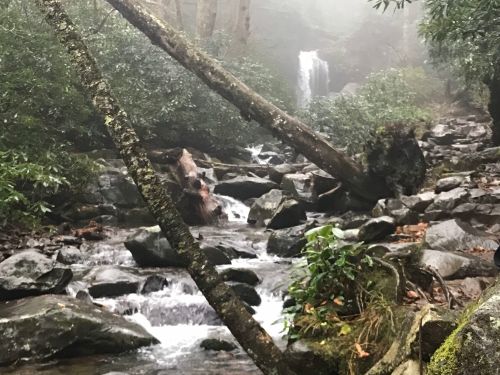 A misty forest scene with a small waterfall, rocky stream, and lush greenery surrounding the water.