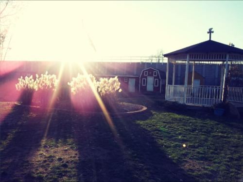 A sunlit garden with a gazebo, surrounded by tall grass and a small red barn in the background.
