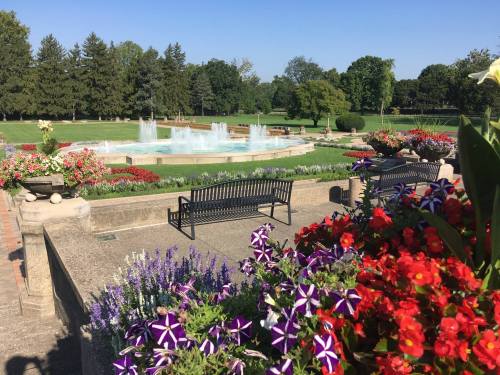A vibrant garden with colorful flowers, a fountain, and benches under a clear blue sky.