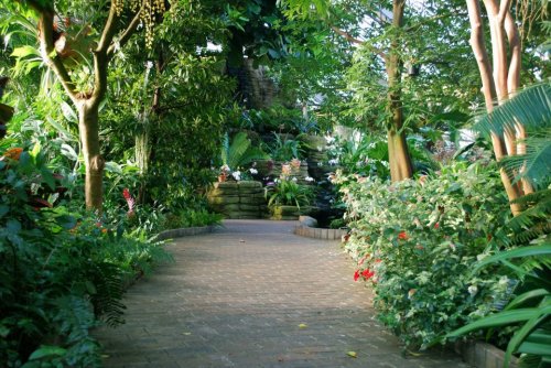 A lush garden path surrounded by vibrant greenery and tropical plants, leading to a serene water feature.