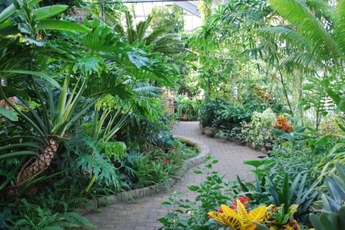 A winding path through a lush, tropical garden filled with vibrant plants and greenery.