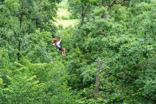 A person zip-lining through a lush green forest, surrounded by dense trees and foliage.