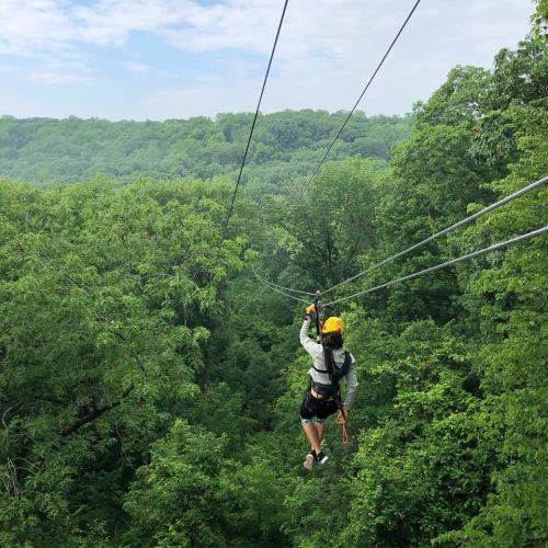 A person zip-lining through a lush green forest, surrounded by trees and a clear sky.