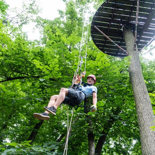 A person in a helmet is rappelling down from a tree, surrounded by lush green foliage.