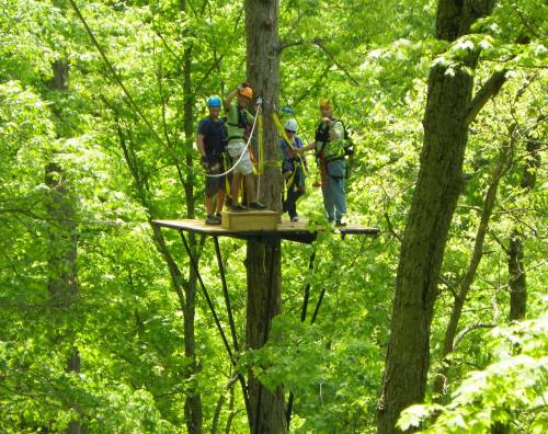 A group of people on a wooden platform in a tree, surrounded by lush green foliage, preparing for a zipline adventure.