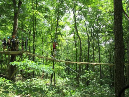 A group of people on a wooden bridge in a lush green forest, preparing for a zipline adventure.