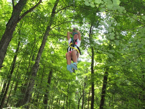 A person zip-lining through a lush green forest, surrounded by tall trees and bright sunlight.