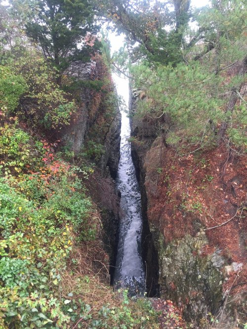 A narrow canyon with flowing water surrounded by lush greenery and rocky walls.