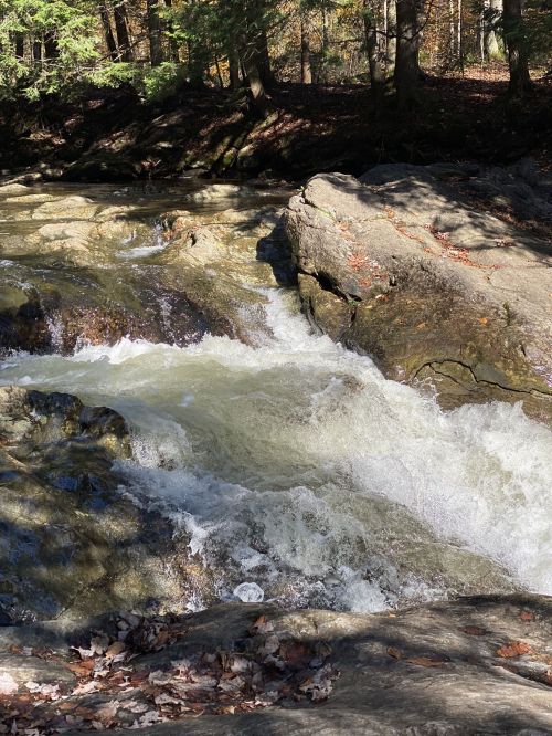A flowing river cascades over rocks, surrounded by trees and autumn foliage.