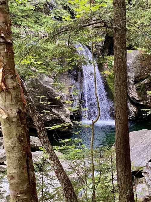 A serene waterfall cascades into a clear pool, surrounded by lush greenery and rocky terrain.
