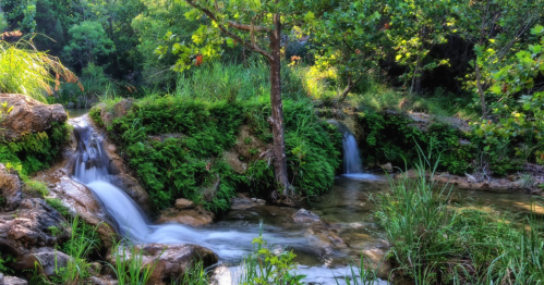 A serene landscape featuring a flowing stream, lush greenery, and gentle waterfalls surrounded by rocks and trees.