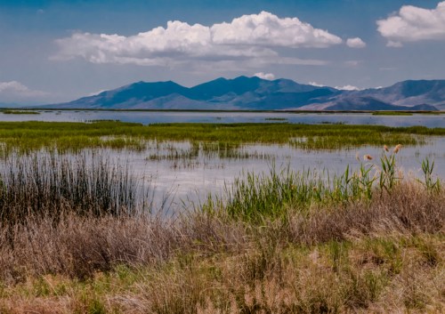 A serene landscape featuring a calm lake surrounded by green grasses and mountains under a partly cloudy sky.