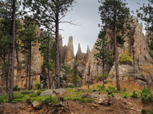 A rocky landscape with tall spires surrounded by pine trees and autumn foliage under a cloudy sky.