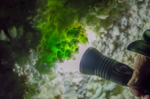 A hand holding a flashlight illuminates vibrant green formations in a cave, revealing intricate textures.