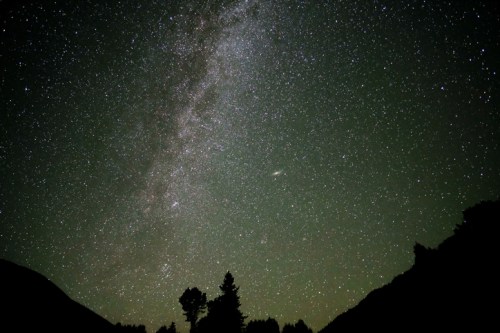 A starry night sky with the Milky Way visible, silhouetted trees in the foreground against a dark landscape.