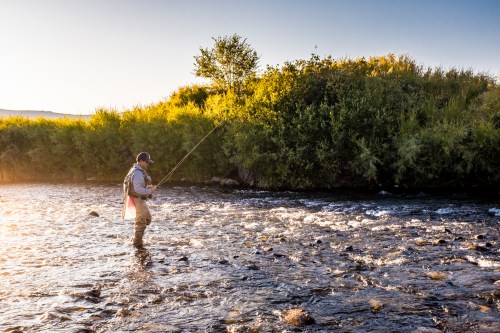 A person fishing in a river surrounded by lush greenery and sunlight, creating a serene outdoor scene.