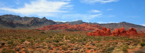 A panoramic view of red rock formations and mountains under a blue sky with wispy clouds, surrounded by desert vegetation.