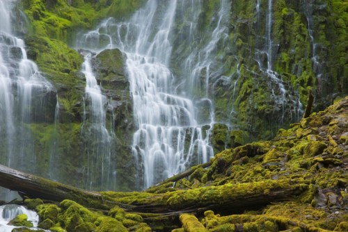A serene waterfall cascades over moss-covered rocks, surrounded by lush greenery and fallen logs.
