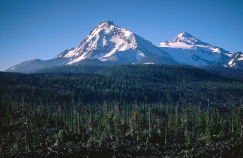 Snow-capped mountains rise above a dense forest, with a clear blue sky in the background.